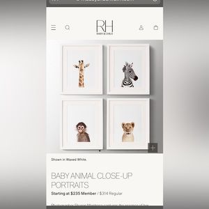 RH baby & child baby animal close-up portraits